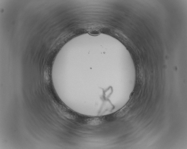 X0000071770074200607282223