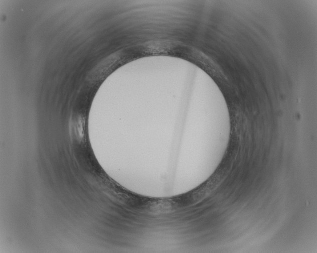 X0000071770075200607282223