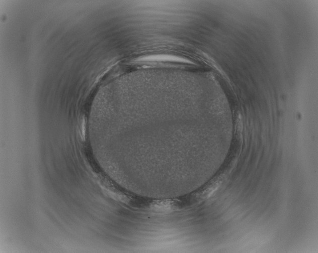 X0000071770076200607282223