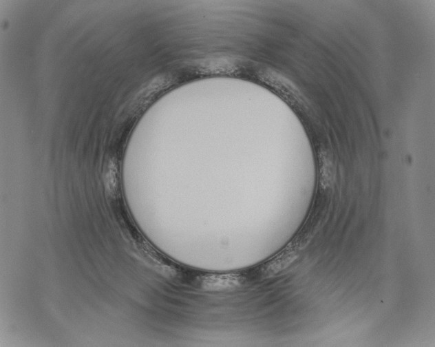 X0000071770077200607282223