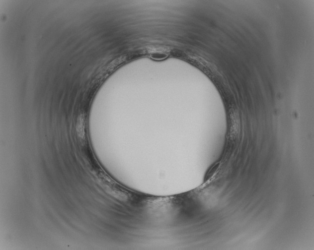 X0000071770078200607282224