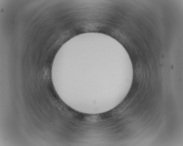 X0000071770079200607282224