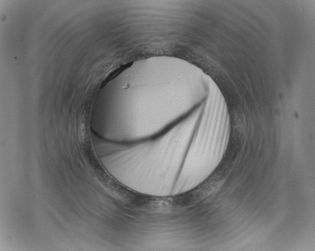 X0000071770080200607282224