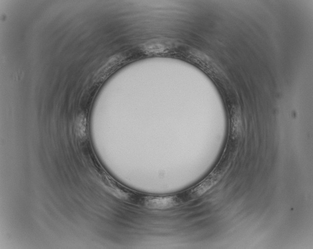 X0000071770081200607282224