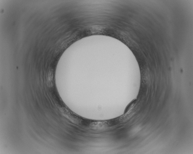 X0000071770082200607282224