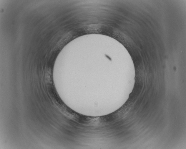 X0000071770083200607282224