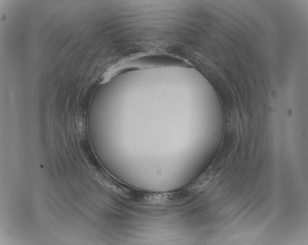 X0000071770084200607282224