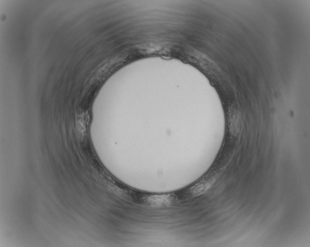 X0000071770085200607282224