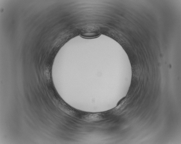 X0000071770086200607282224