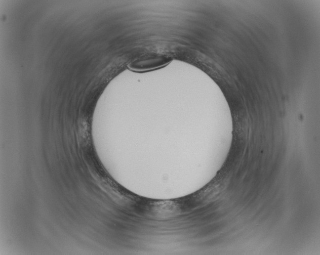 X0000071770087200607282224