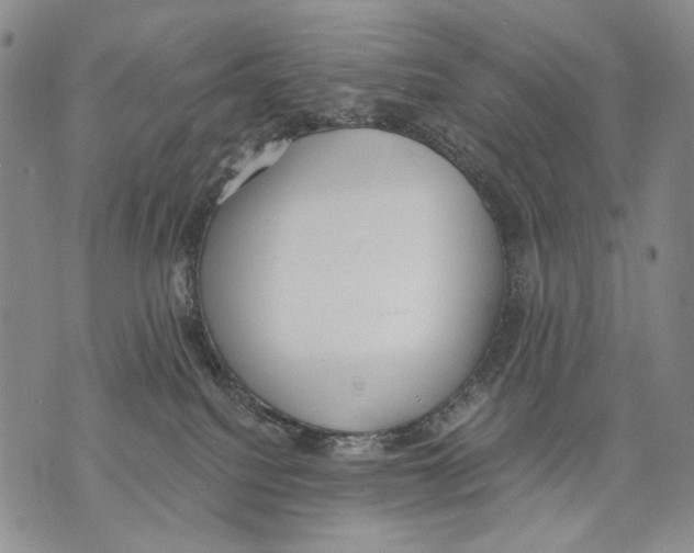 X0000071770088200607282224