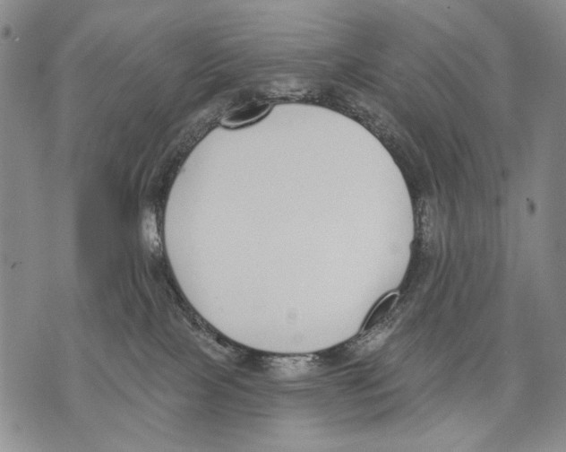 X0000071770089200607282224