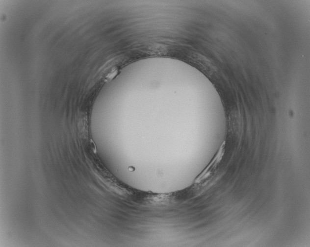 X0000071770092200607282224