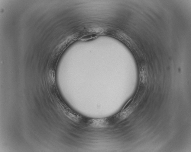 X0000071770093200607282224