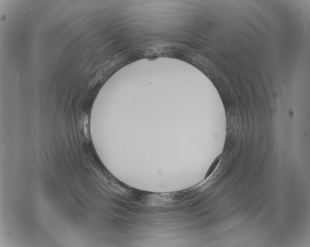 X0000071770094200607282224