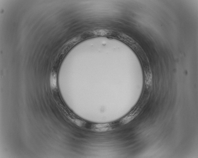 X0000071770095200607282224