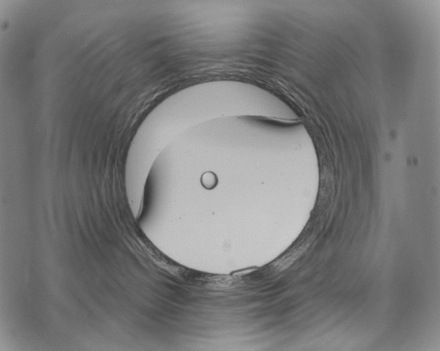 X0000071770096200607282224