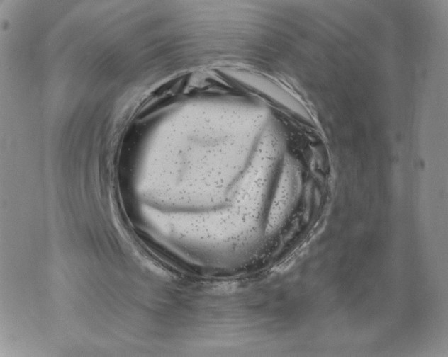 X0000071770097200607282223