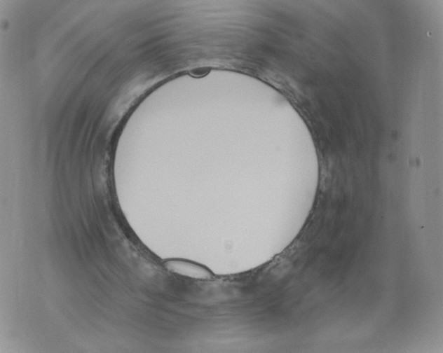 X0000071770098200607282223