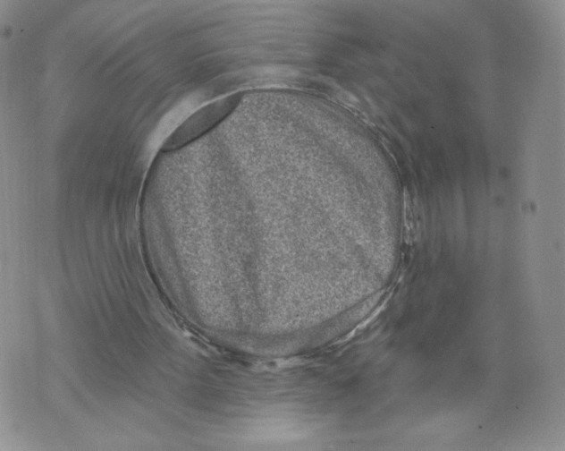 X0000071770099200607282223