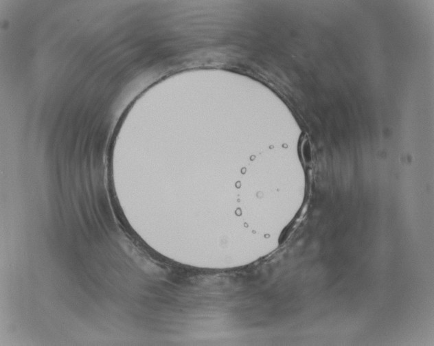 X0000071770100200607282223