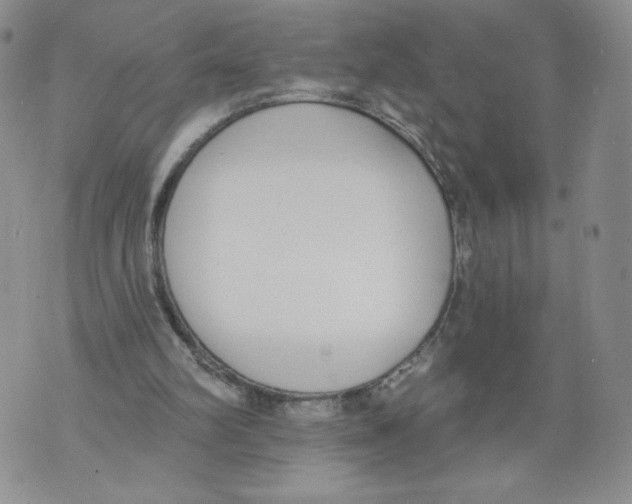 X0000071770102200607282223