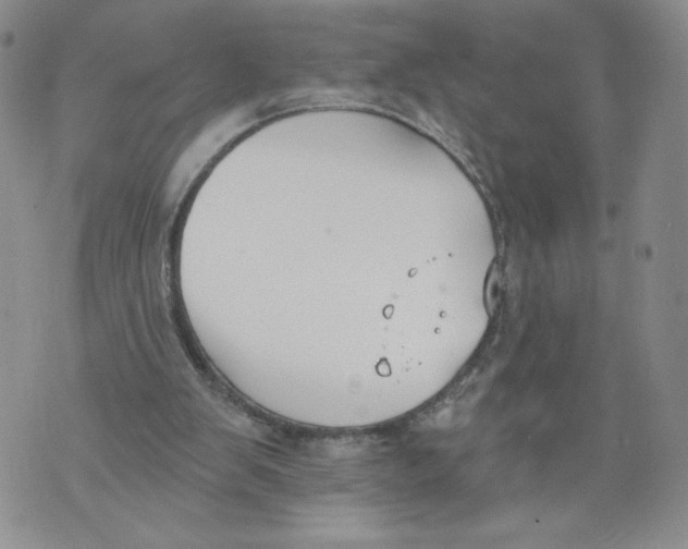 X0000071770103200607282223