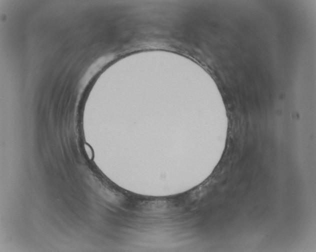 X0000071770104200607282223