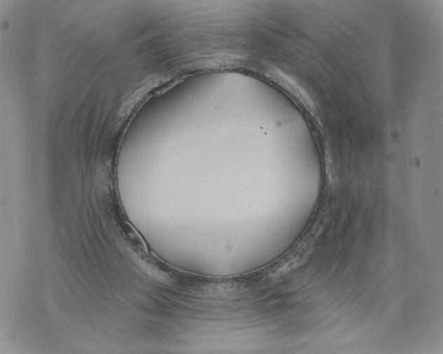 X0000071770105200607282223