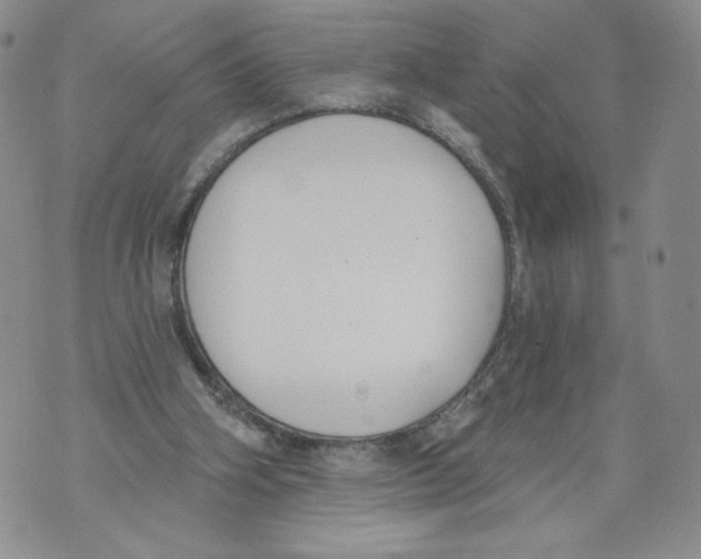 X0000071770106200607282223