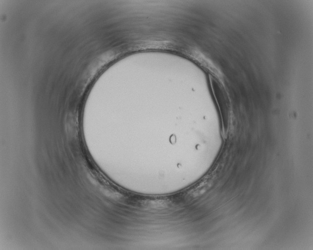 X0000071770107200607282223