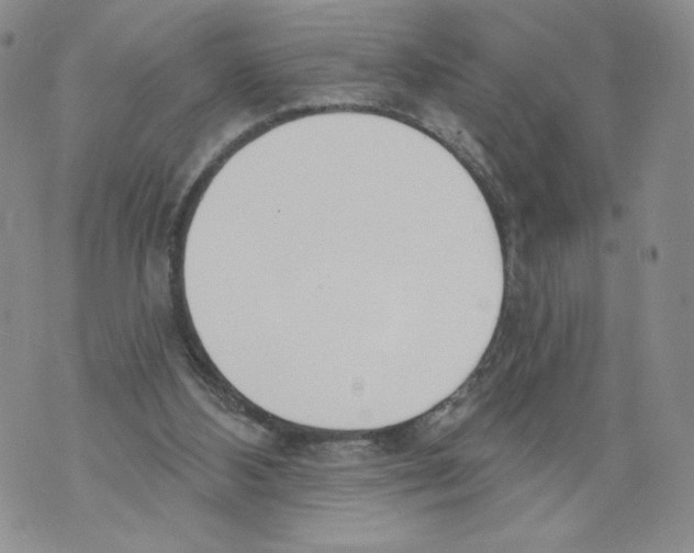 X0000071770108200607282223