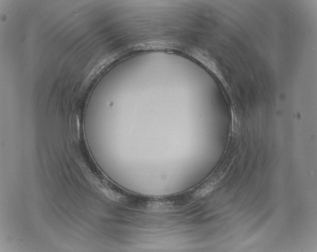 X0000071770109200607282223