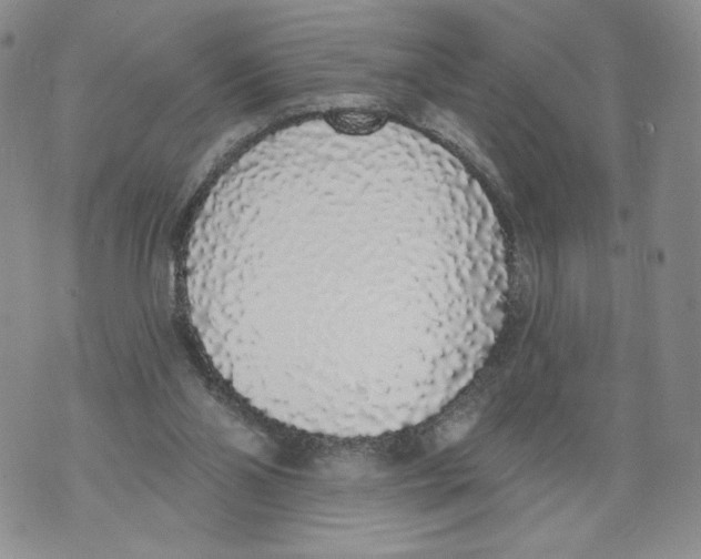 X0000071770110200607282223