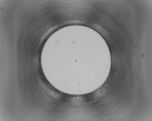 X0000071770112200607282223