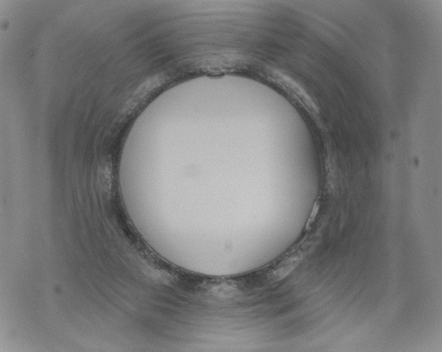 X0000071770113200607282223