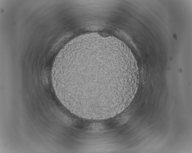 X0000071770114200607282223