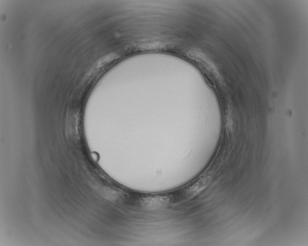 X0000071770115200607282223