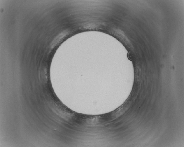 X0000071770116200607282223