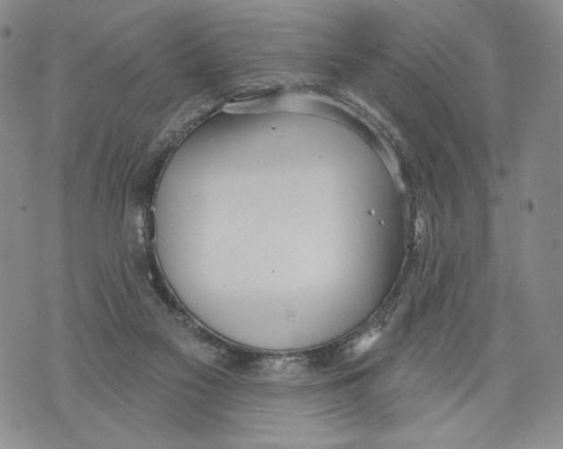 X0000071770117200607282223