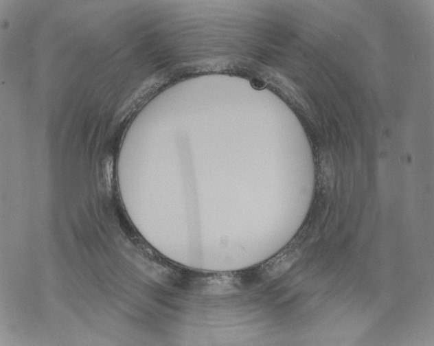 X0000071770118200607282223