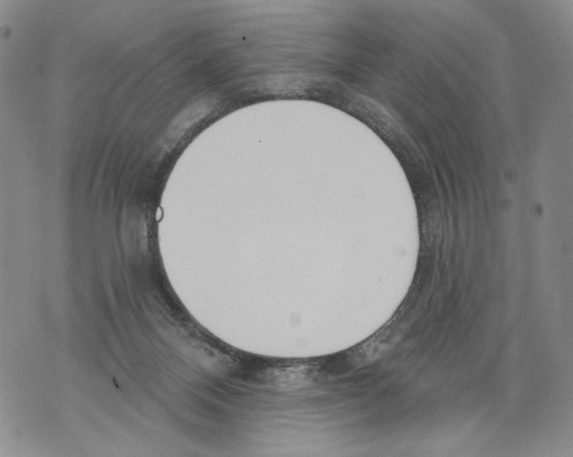 X0000071770120200607282223