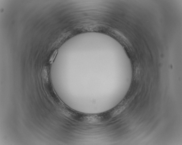 X0000071770121200607282223