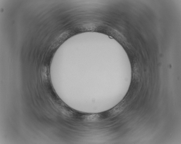 X0000071770122200607282223