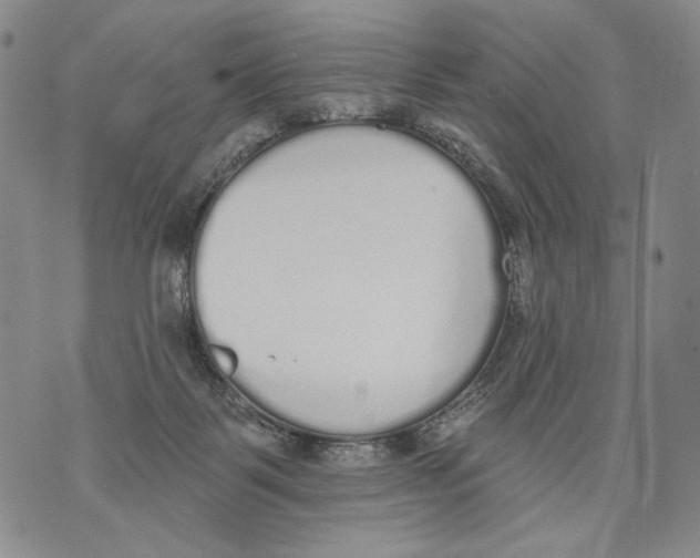 X0000071770123200607282223