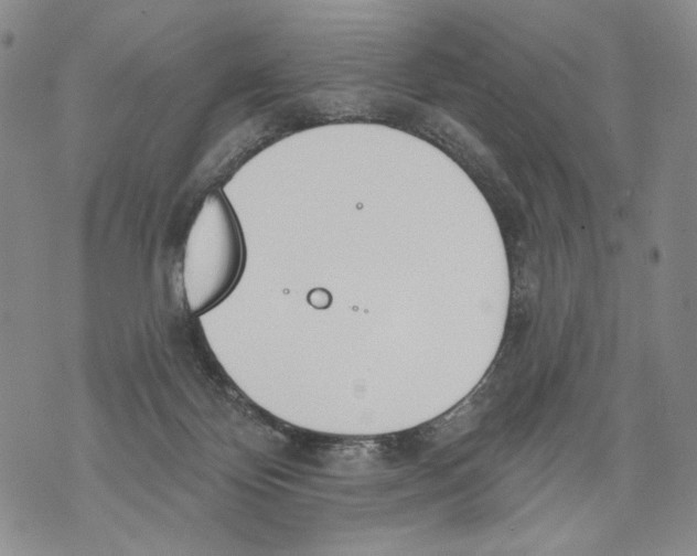 X0000071770124200607282223