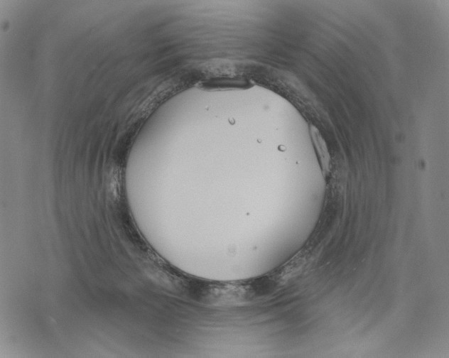 X0000071770125200607282223