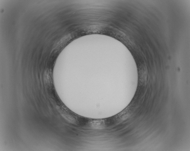 X0000071770126200607282223