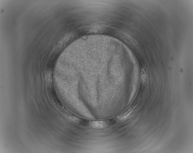 X0000071770127200607282223