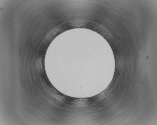 X0000071770128200607282223